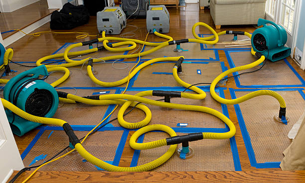 Professional Burst Pipe Water Damage technician working in Round Rock, TX